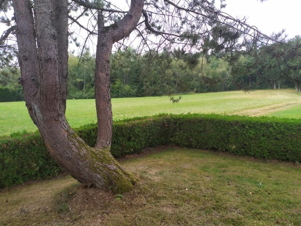 Chalet Du Spiemont Champdray المظهر الخارجي الصورة