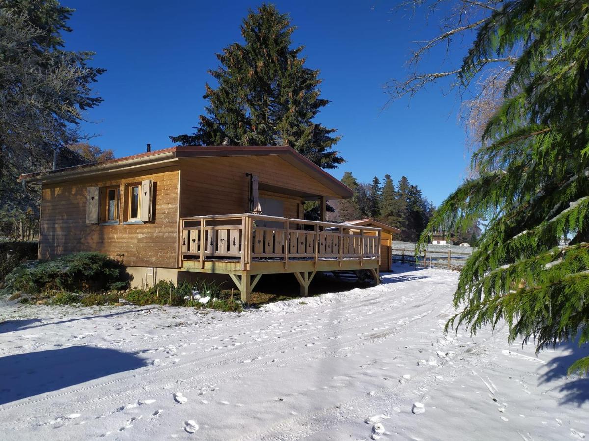 Chalet Du Spiemont Champdray المظهر الخارجي الصورة
